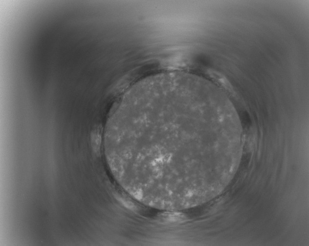 X0000069390427200605262121