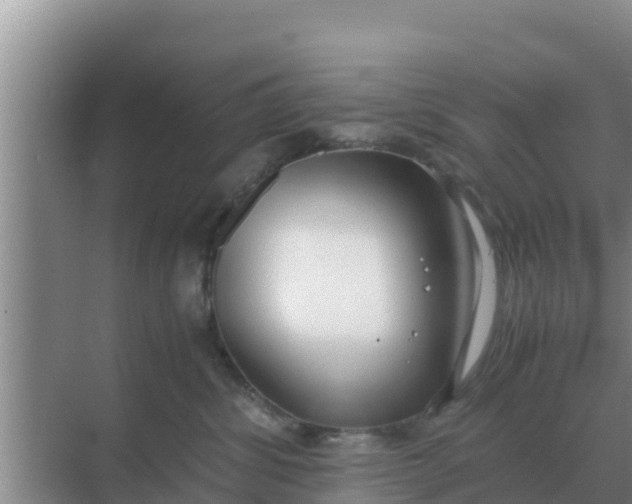 X0000069390428200605262121