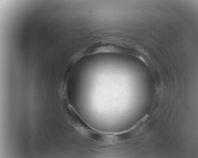 X0000069390429200605262121