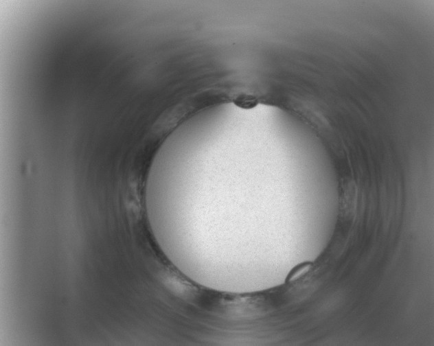 X0000069390430200605262121