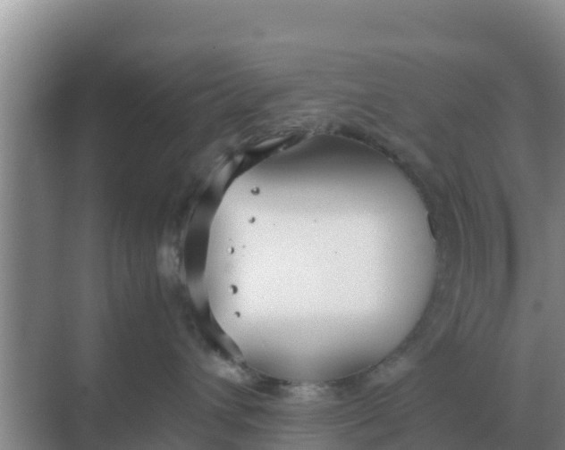 X0000069390432200605262121