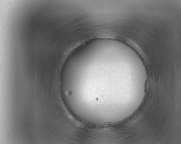 X0000069390433200605262120