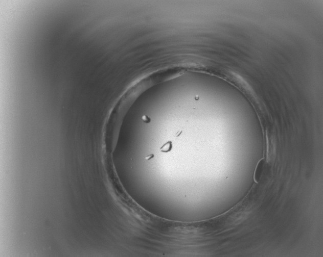 X0000069390435200605262120