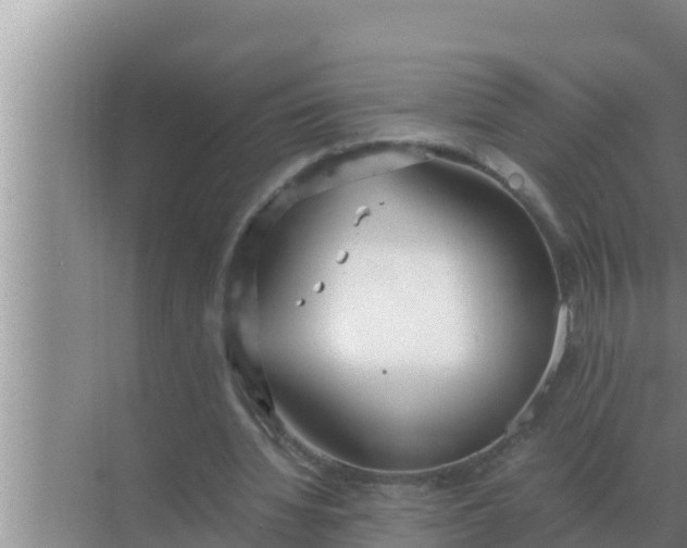 X0000069390436200605262120