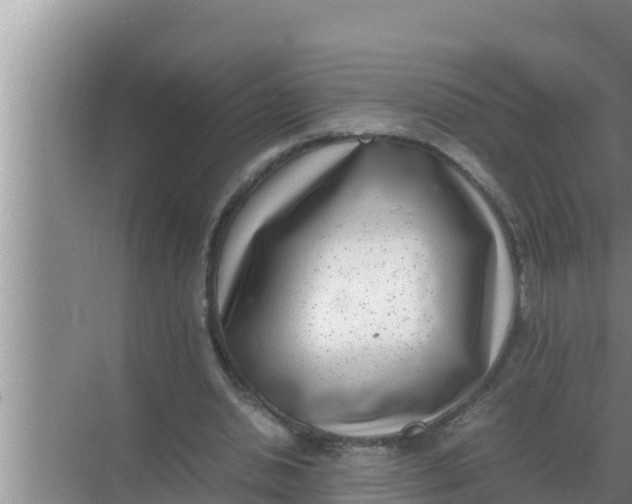 X0000069390438200605262120