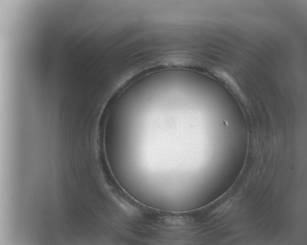 X0000069390439200605262120