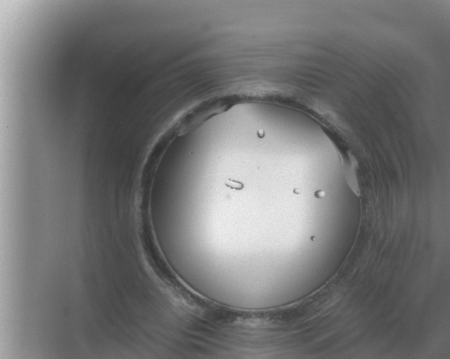 X0000069390440200605262120