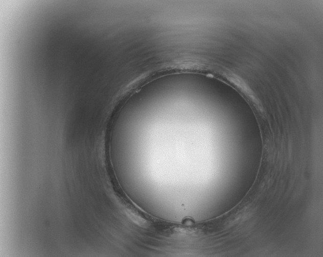 X0000069390442200605262120