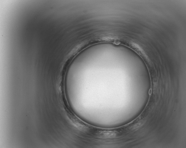 X0000069390443200605262120