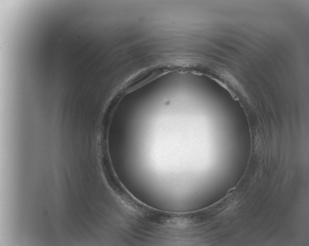 X0000069390444200605262120