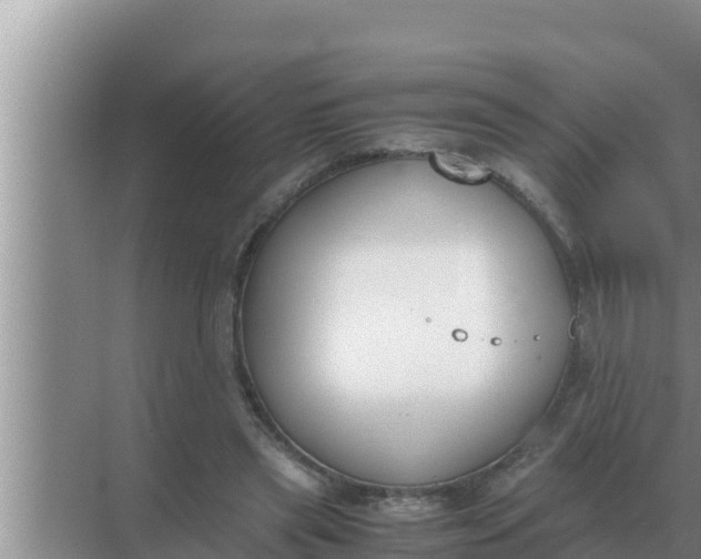 X0000069390445200605262121