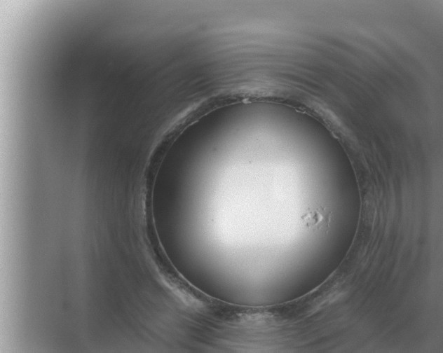 X0000069390446200605262121