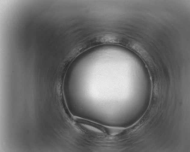 X0000069390449200605262121