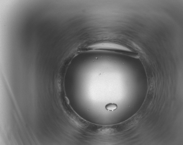 X0000069390452200605262121