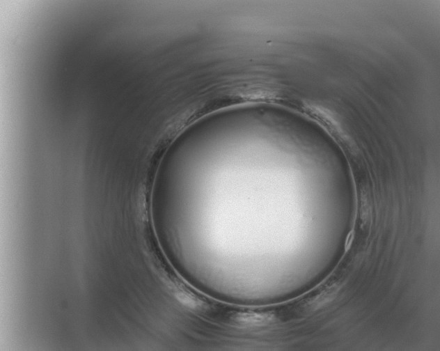 X0000069390453200605262121