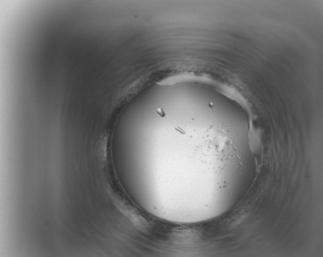 X0000069390454200605262121