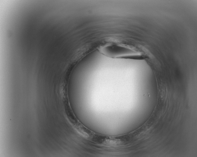 X0000069390455200605262121