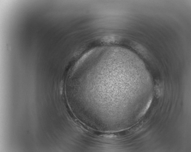 X0000069390458200605262121