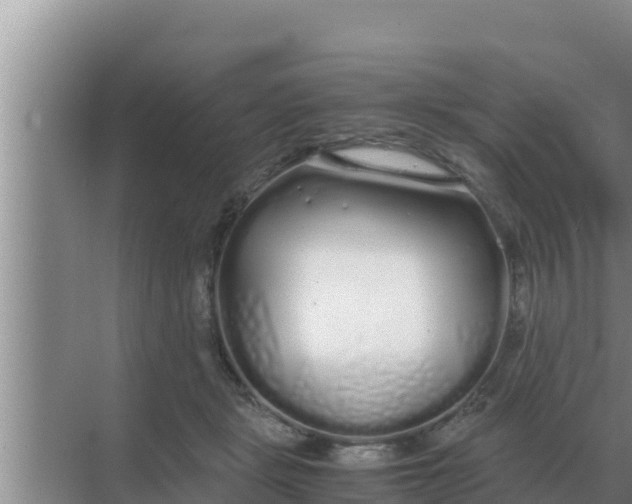 X0000069390461200605262121