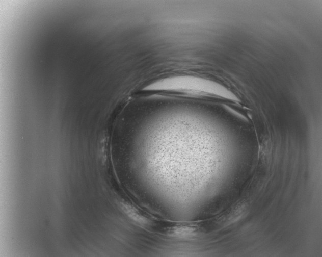 X0000069390462200605262121