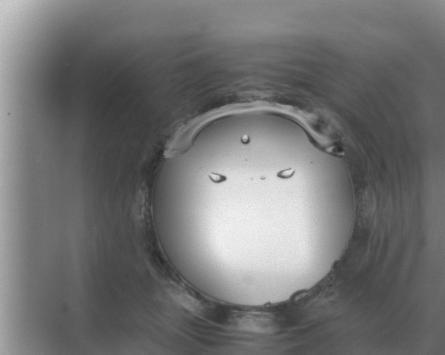 X0000069390463200605262121