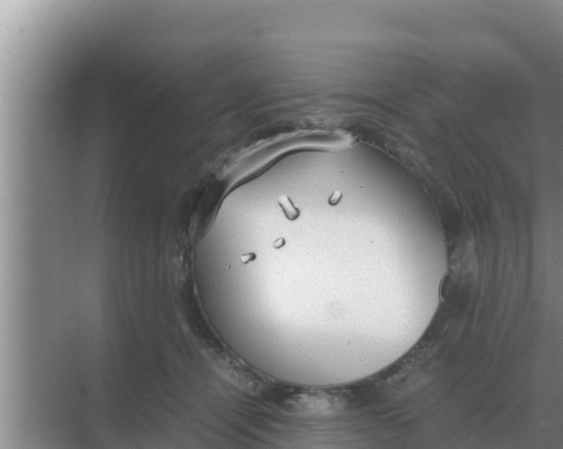 X0000069390464200605262121