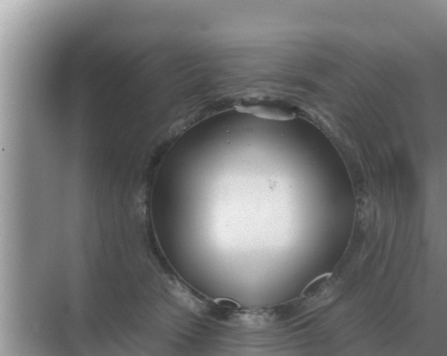 X0000069390466200605262121