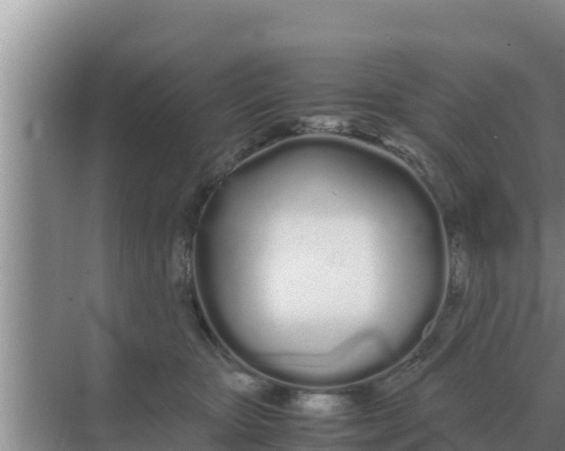 X0000069390467200605262121