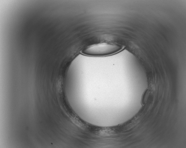 X0000069390468200605262121