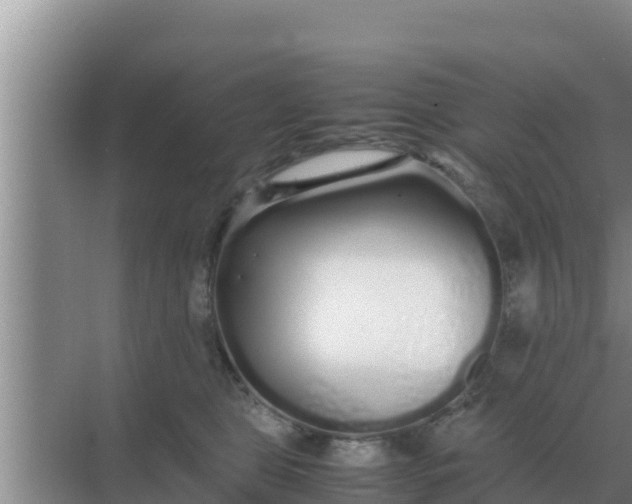 X0000069390469200605262121