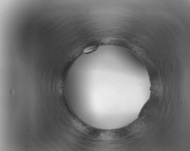 X0000069390470200605262121