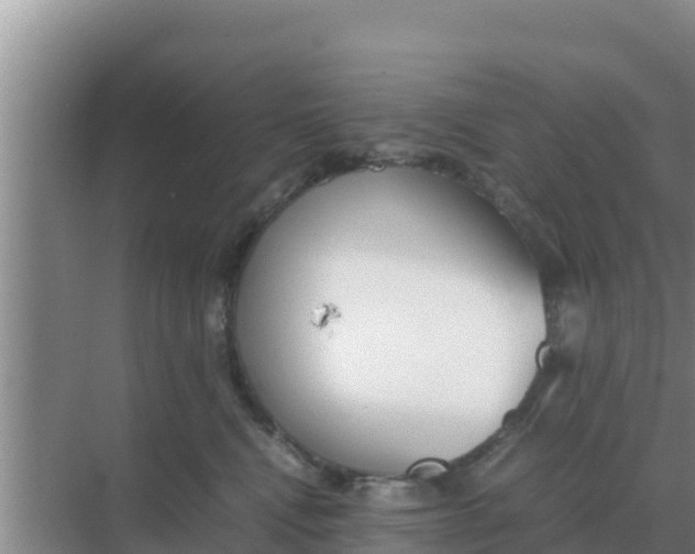 X0000069390472200605262121