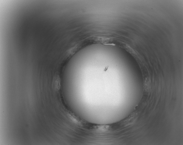 X0000069390474200605262121