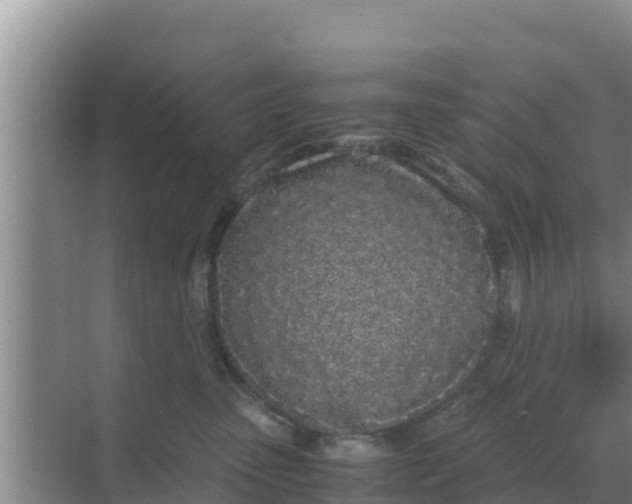 X0000069390475200605262121