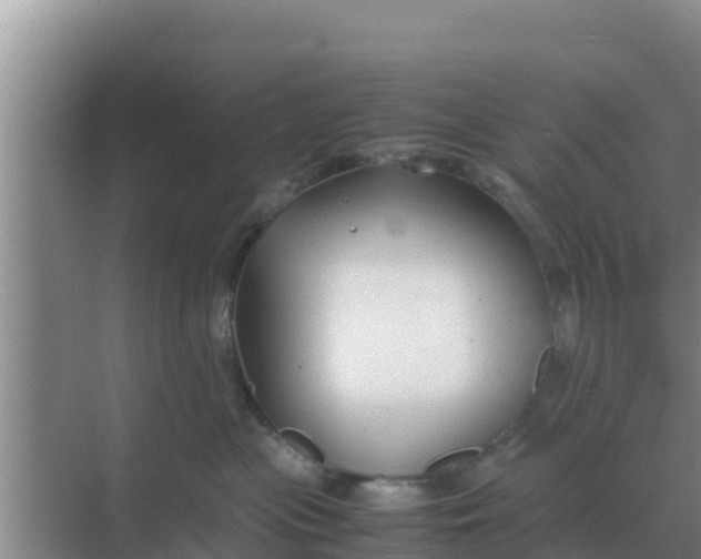 X0000069390477200605262121