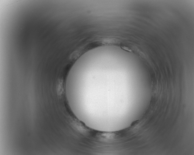 X0000069390478200605262121