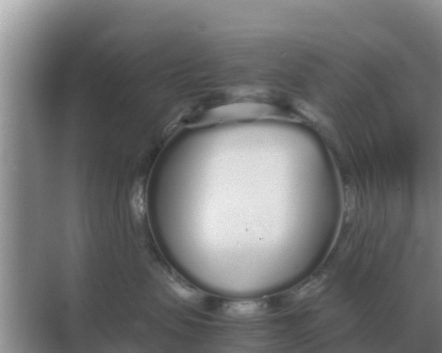 X0000069390479200605262121