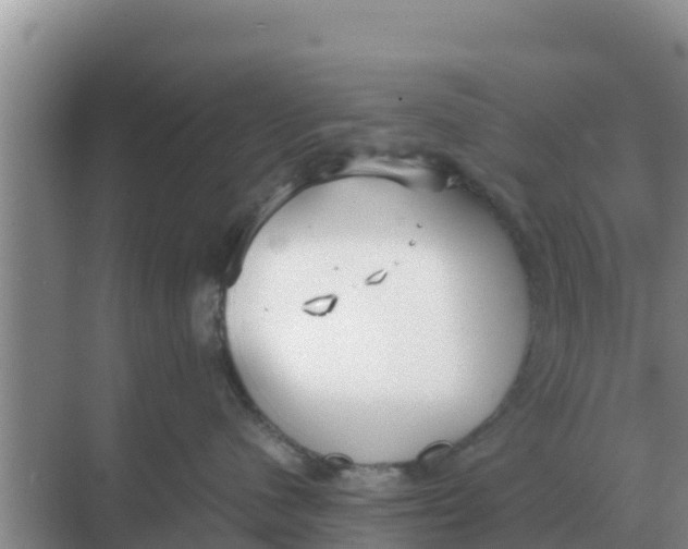 X0000069390480200605262121