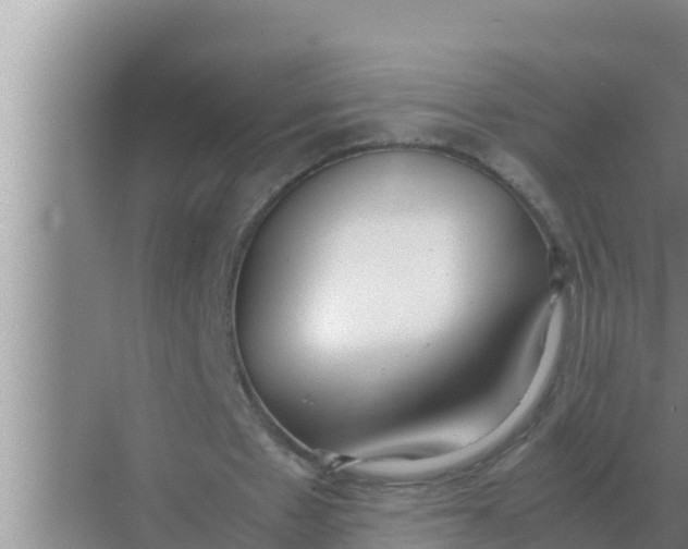 X0000069390481200605262120