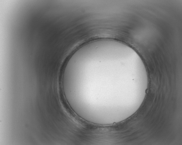 X0000069390482200605262120