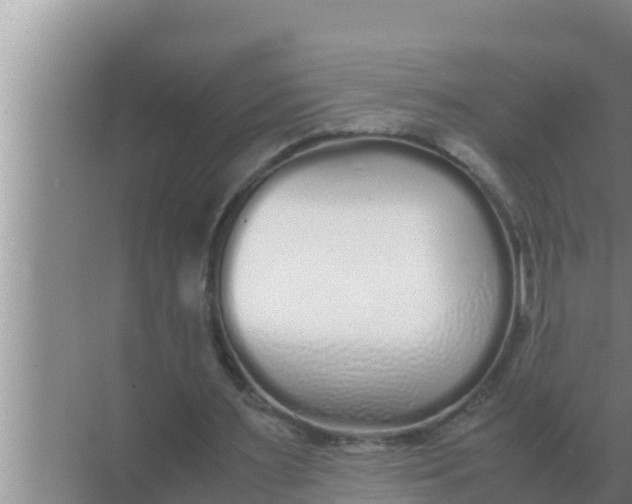 X0000069390483200605262120