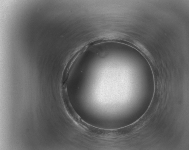 X0000069390485200605262120