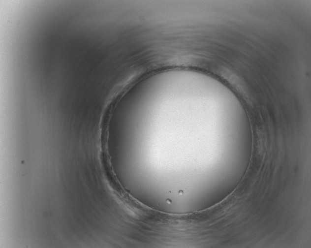 X0000069390486200605262120