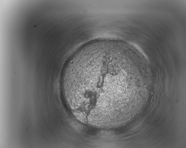 X0000069390487200605262120