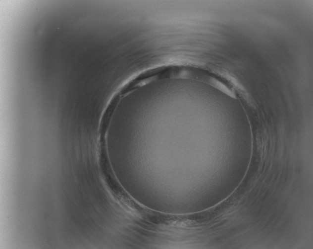 X0000069390488200605262120