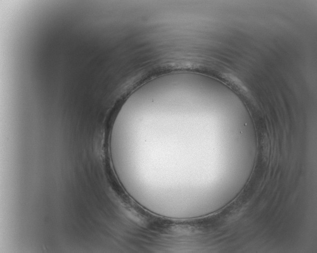 X0000069390490200605262120