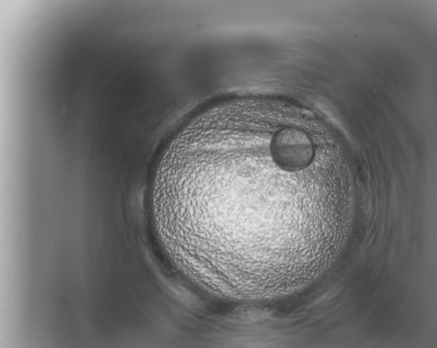 X0000069390491200605262120