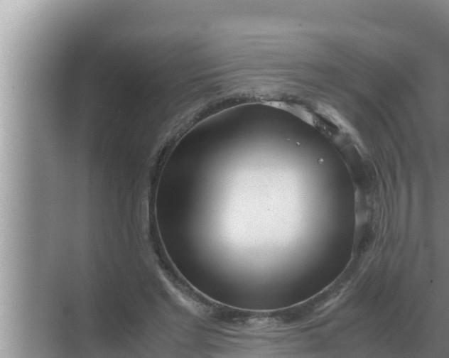 X0000069390493200605262120