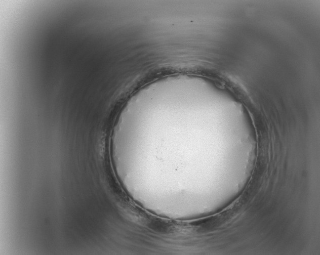 X0000069390495200605262120