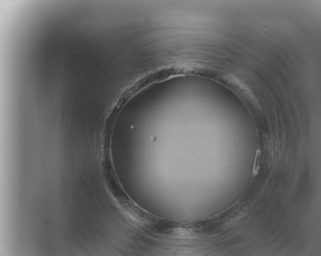 X0000069390496200605262120